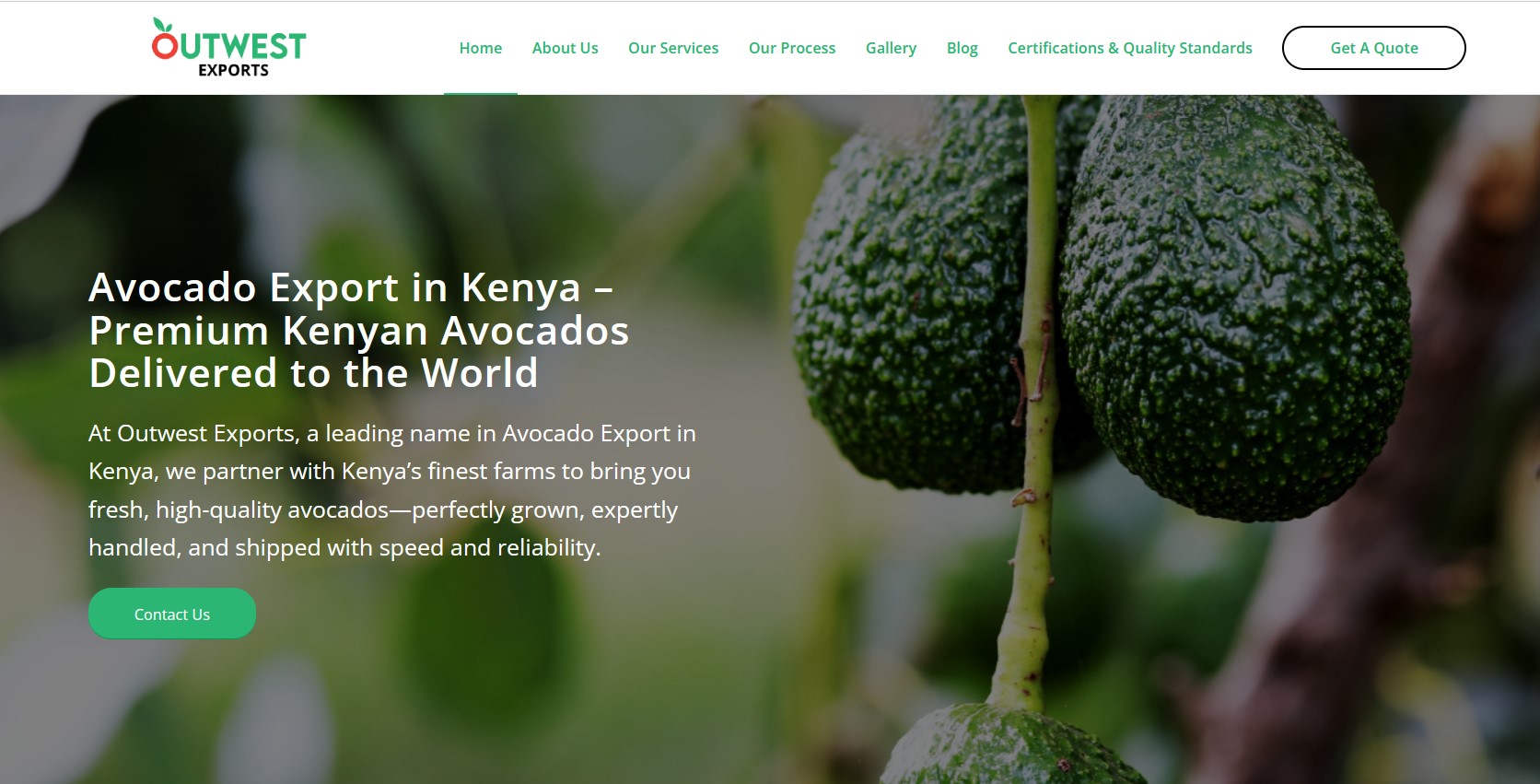 outwest exports
