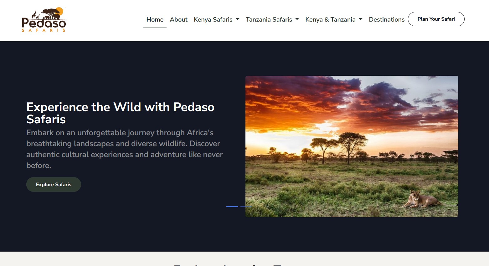 Pedaso Safaris project image